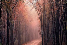 [CBA]常规赛3月5日：浙江方兴渡VS山西汾酒 集锦.