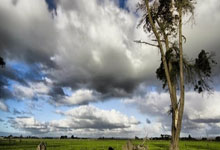 旺财28官方网站：全红婵最新行程曝光！父亲哽咽：希望她能快乐 母亲：国家的女儿.