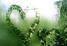 德甲-拜仁2-2遭弗赖堡绝平 5战仅1胜落后药厂7分.