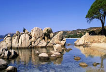 旺财28官方网站：杭州第4届亚残运会火炬今天上午将在杭州桐庐传递央视新闻客户端.